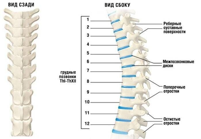 cervical osteochondria