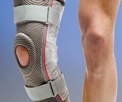 Knee support for knee joints